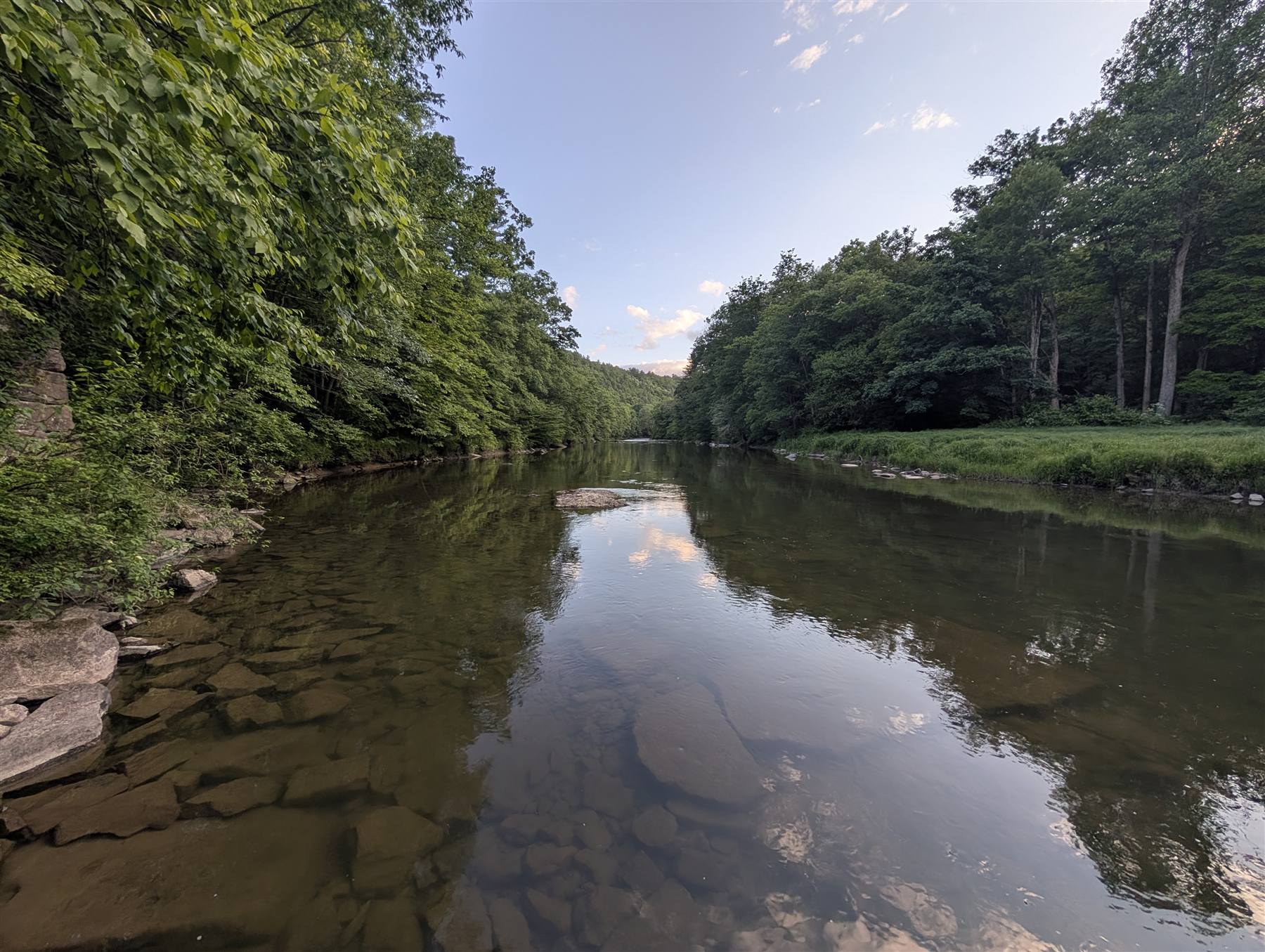 A clear creek in evening light, with trees on both banks and clouds reflected in the water
